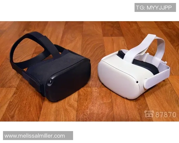 Oculus引领沉浸式体验未来：硬件突破、软件生态、社交互动与未来趋势探析