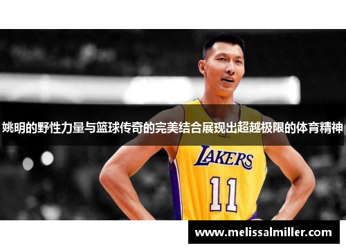 姚明的野性力量与篮球传奇的完美结合展现出超越极限的体育精神