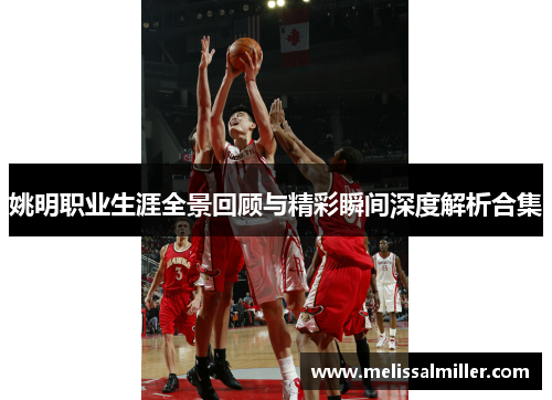 姚明职业生涯全景回顾与精彩瞬间深度解析合集
