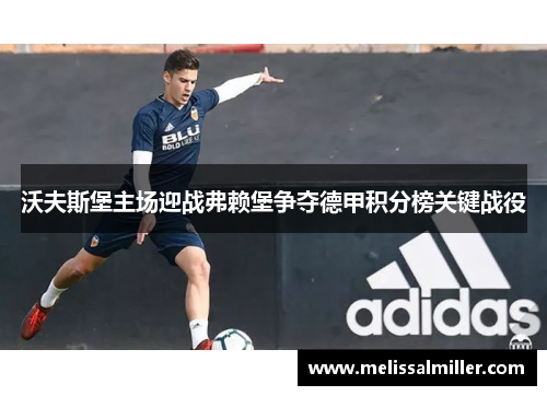 沃夫斯堡主场迎战弗赖堡争夺德甲积分榜关键战役